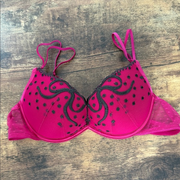 aerie Other - Aerie Fuchsia and Black Embroidered Bra